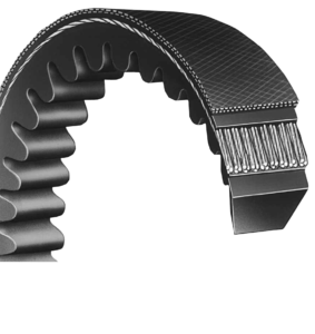 Classical Cogged V Belt Santebelts